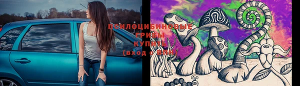 трава Баксан