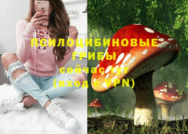 Альфа ПВП Балабаново