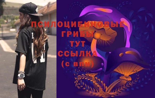 Альфа ПВП Балабаново